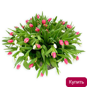 Корзина Амели