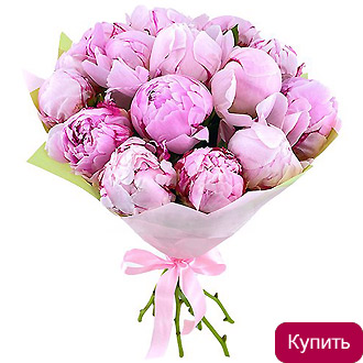 Пионы Сара Бернар