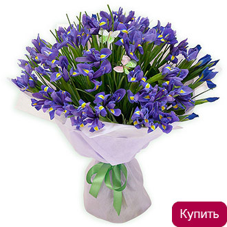 Букет Ультрафиолет